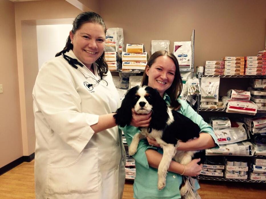Images Washington Veterinary Medical Clinic