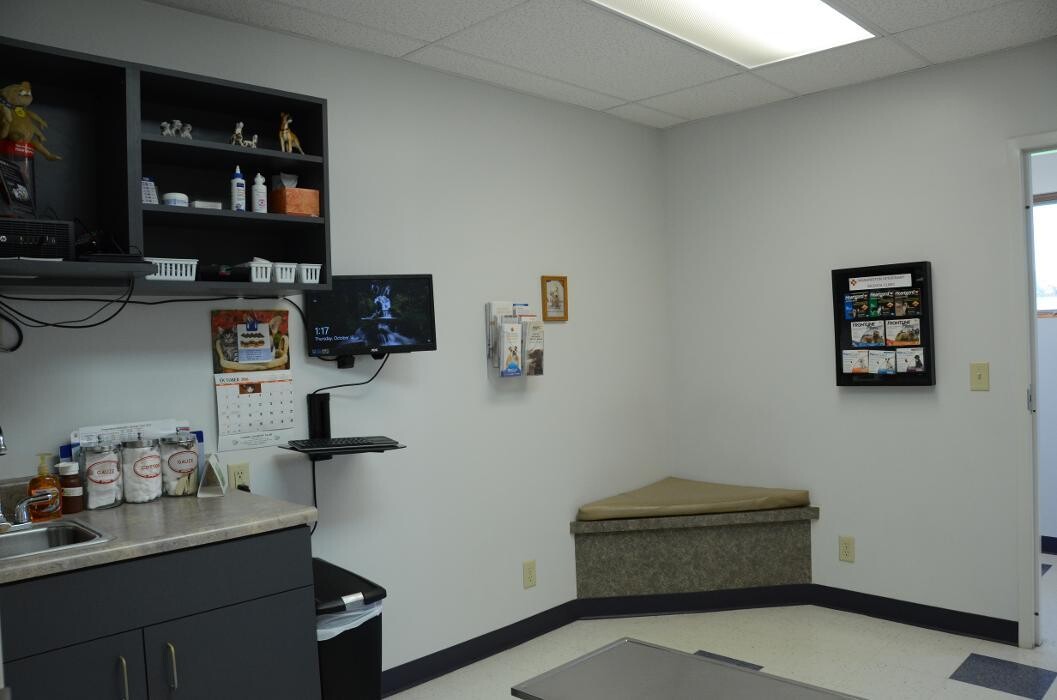 Images Washington Veterinary Medical Clinic