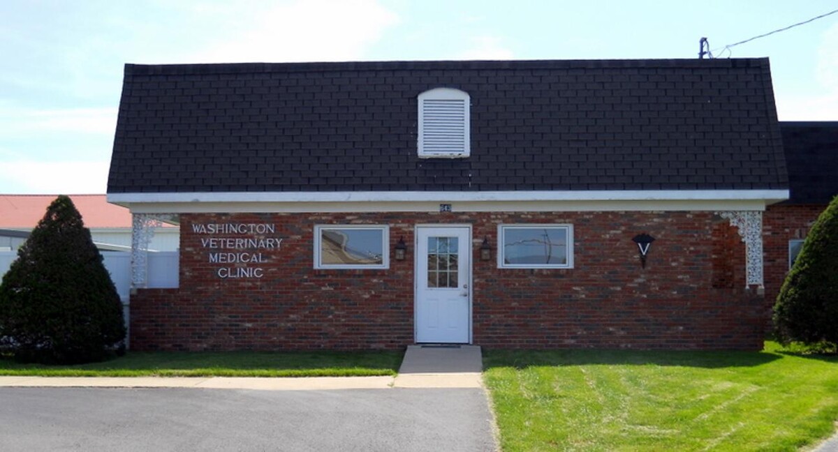 Images Washington Veterinary Medical Clinic