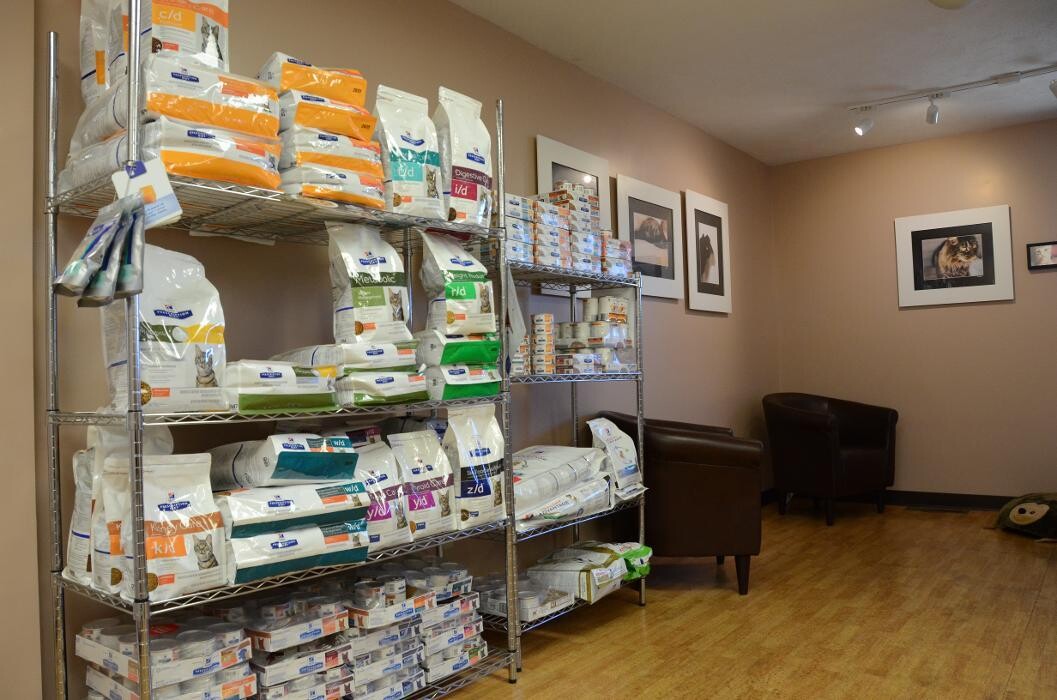 Images Washington Veterinary Medical Clinic