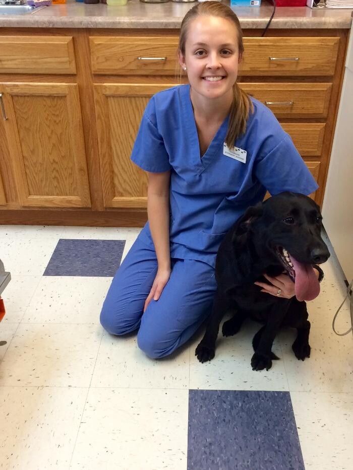 Images Washington Veterinary Medical Clinic