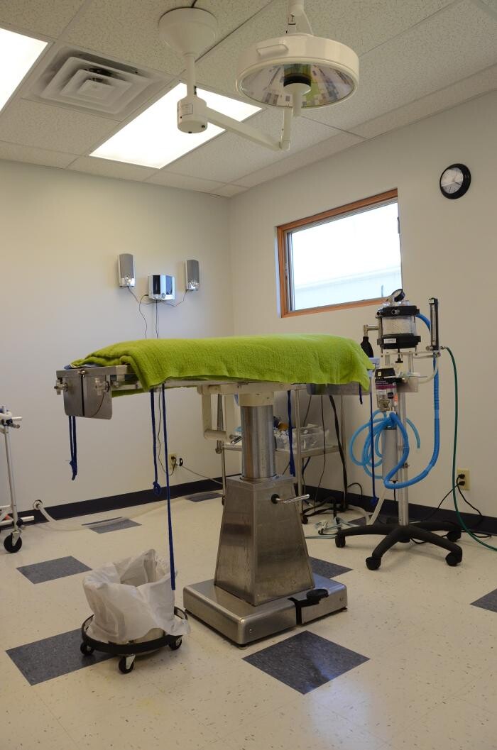 Images Washington Veterinary Medical Clinic