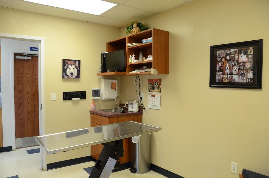 Images Germantown Hills Animal Hospital