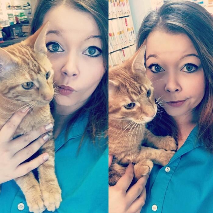 Images Germantown Hills Animal Hospital