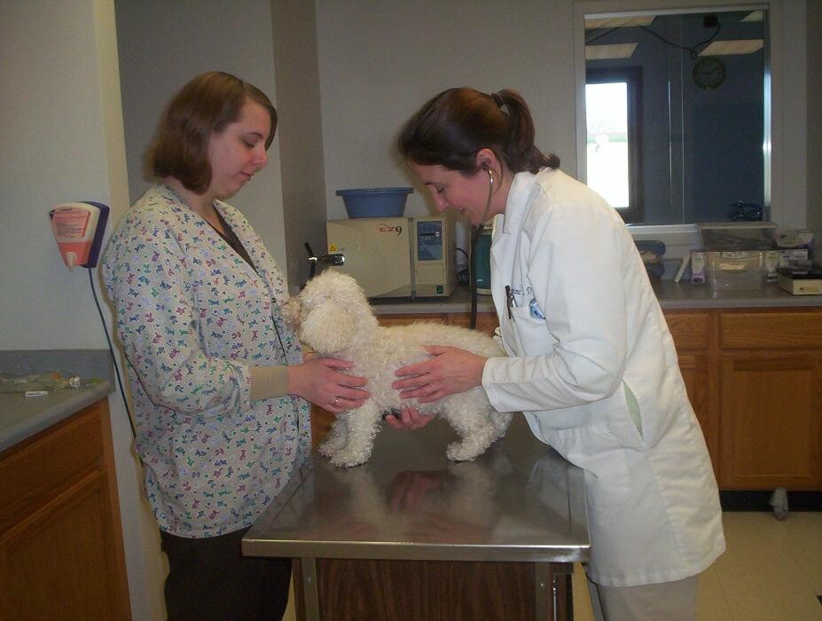 Images Germantown Hills Animal Hospital