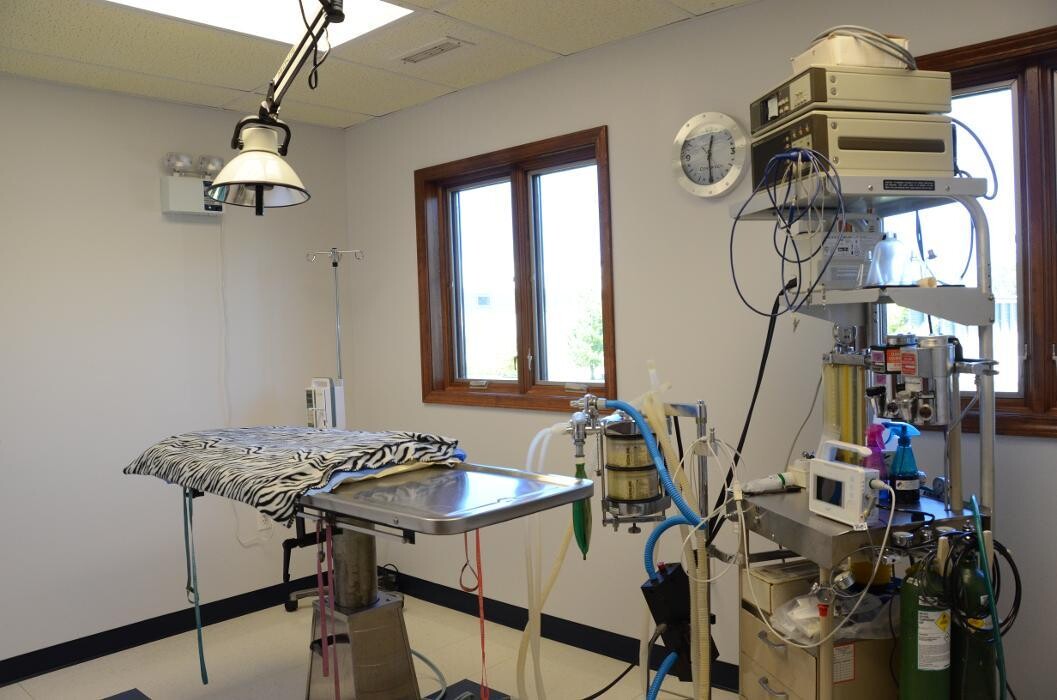 Images Germantown Hills Animal Hospital