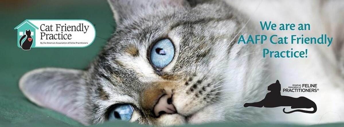 Images Germantown Hills Animal Hospital