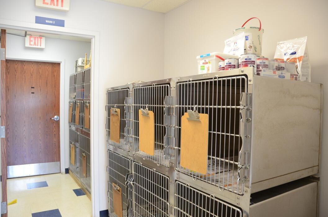 Images Germantown Hills Animal Hospital