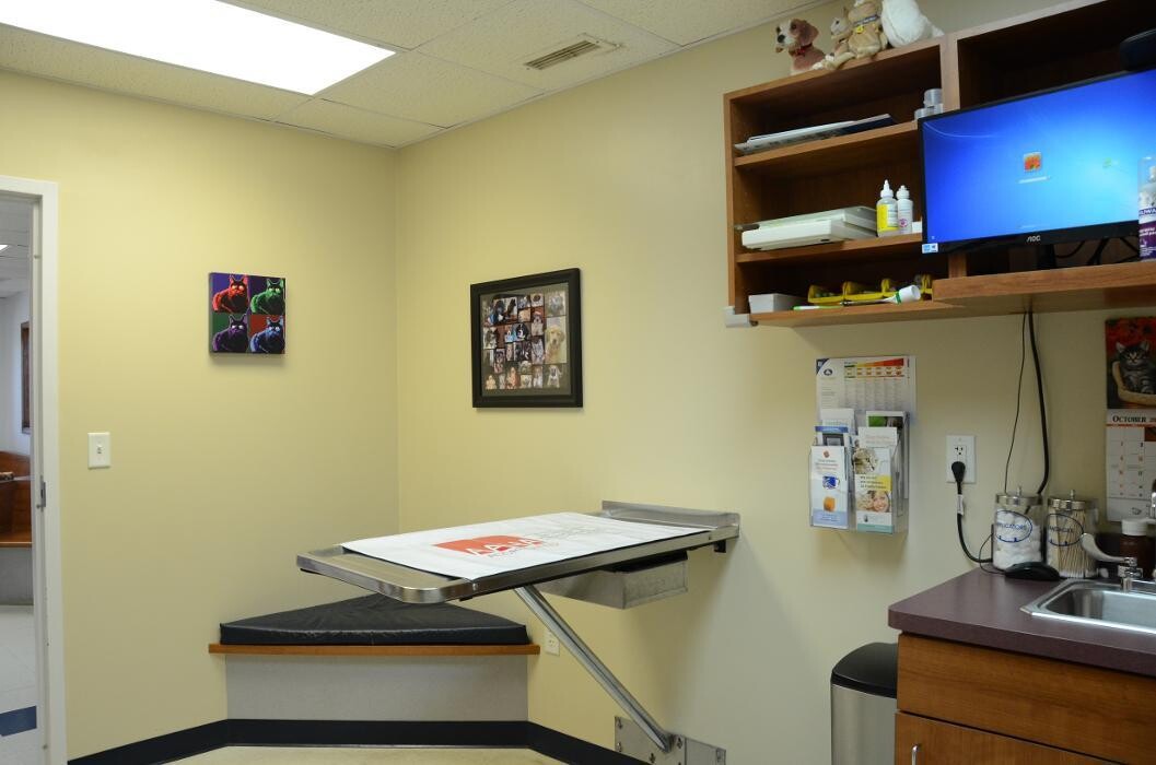 Images Germantown Hills Animal Hospital