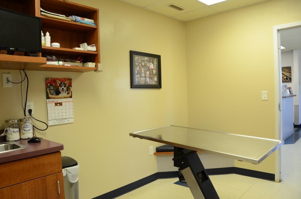 Images Germantown Hills Animal Hospital