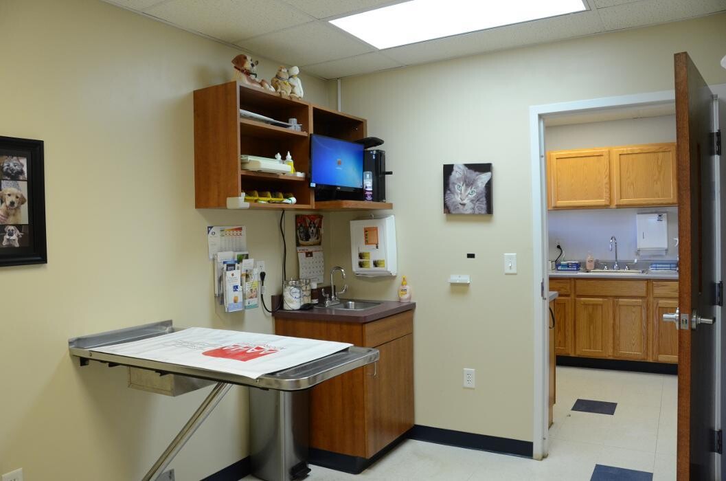 Images Germantown Hills Animal Hospital