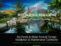 Modern Design Aquascaping website screenshot