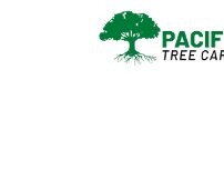 Website Screenshot Pacific West Tree Care Inc.