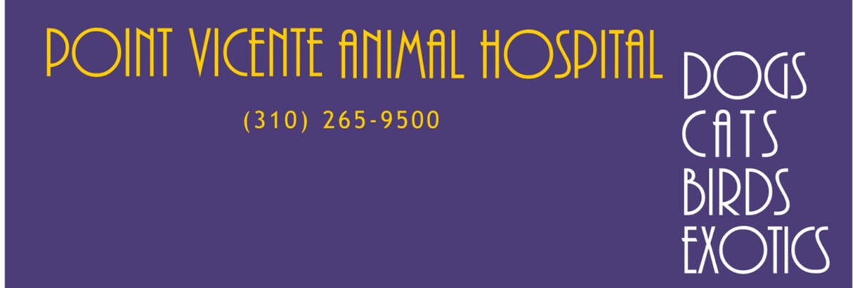 Images Point Vicente Animal Hospital