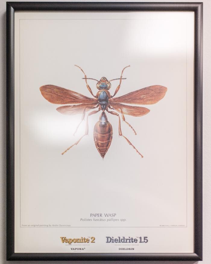 Images Massey Services Pest Control