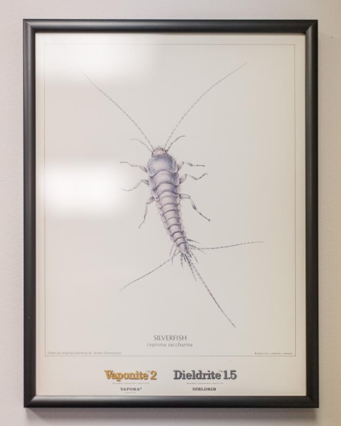 Images Massey Services Pest Control