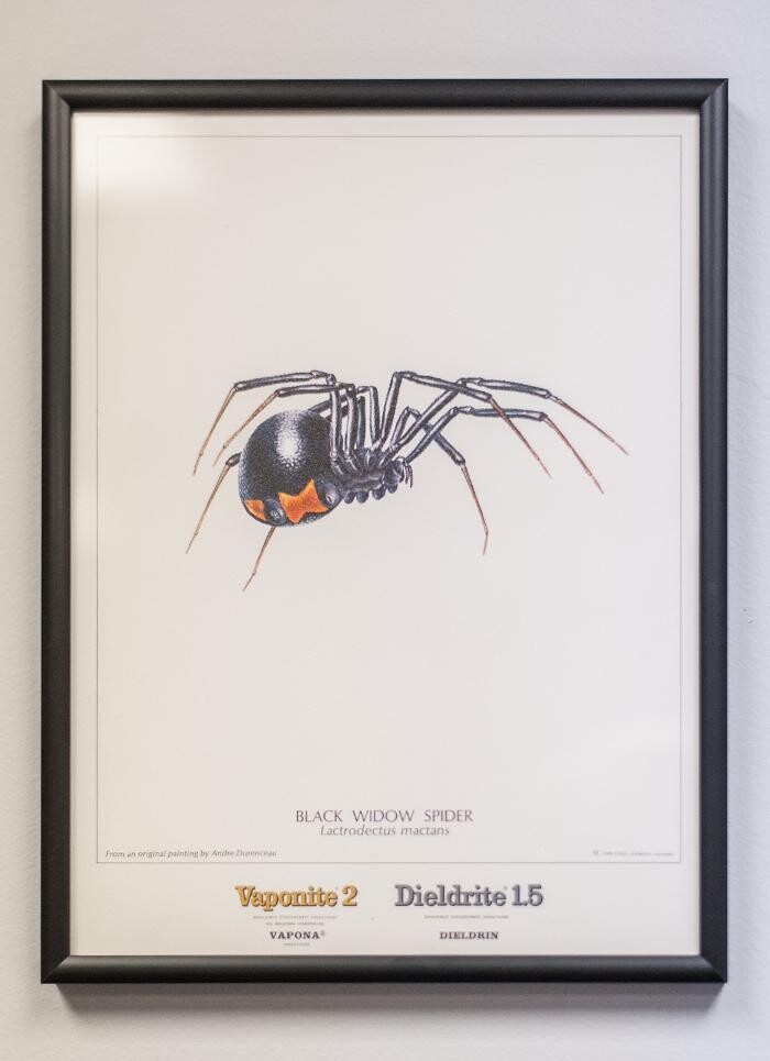 Images Massey Services Pest Control