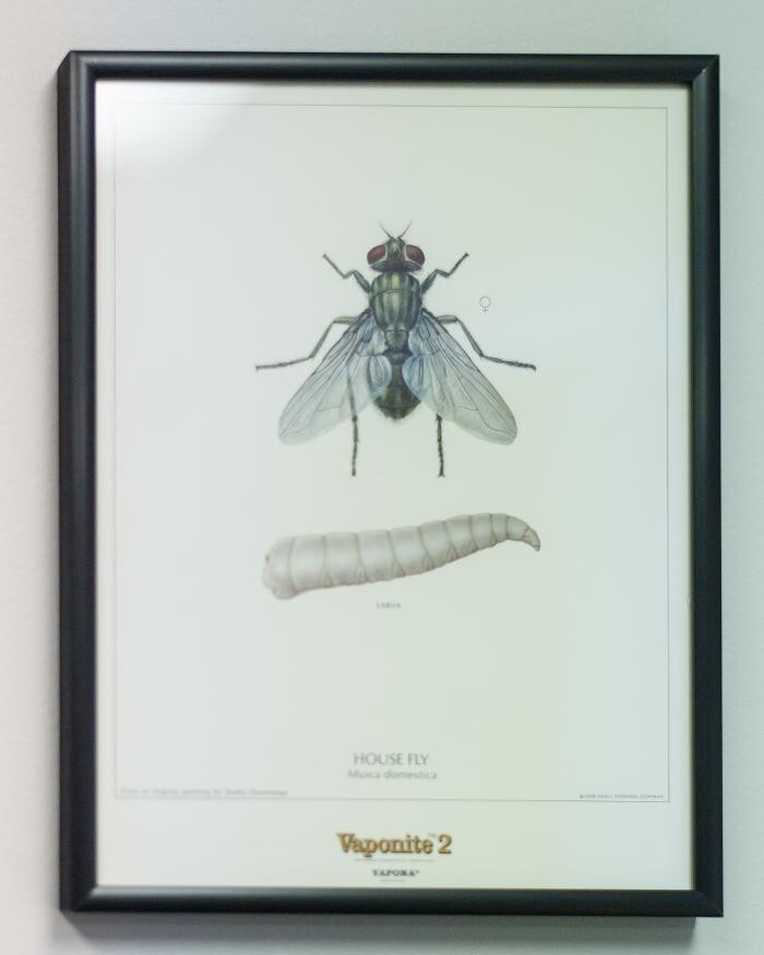 Images Massey Services Pest Control