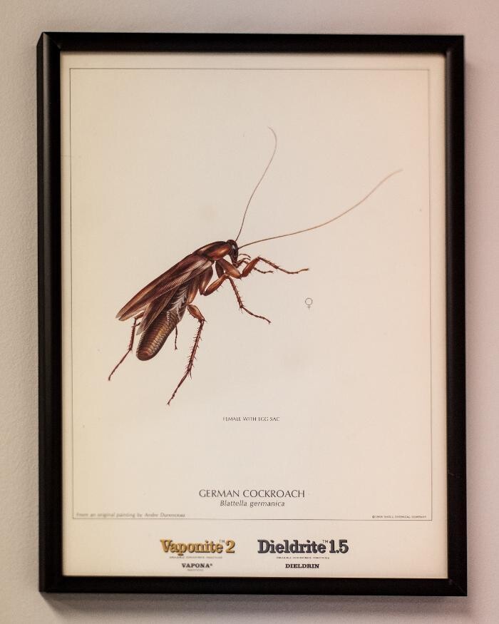 Images Massey Services Pest Control