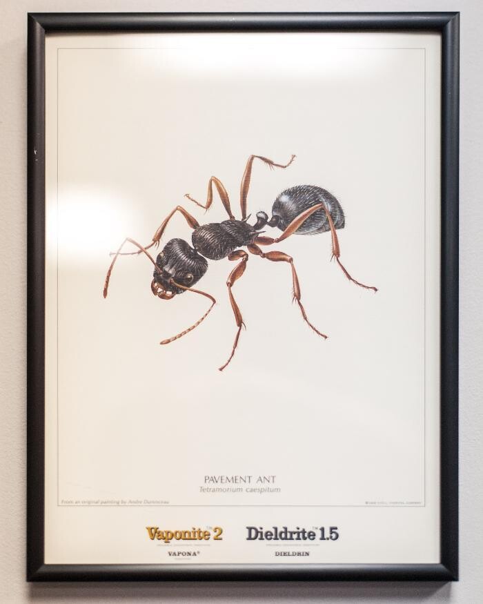 Images Massey Services Pest Control