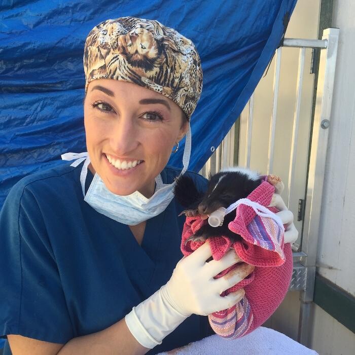 Images Wedington Animal Hospital