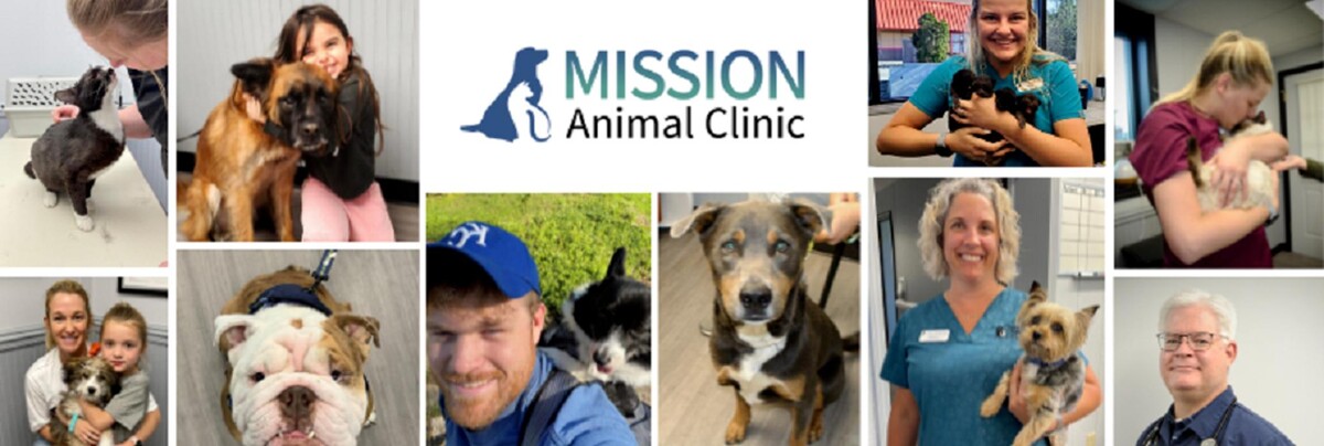 Images Mission Animal Clinic