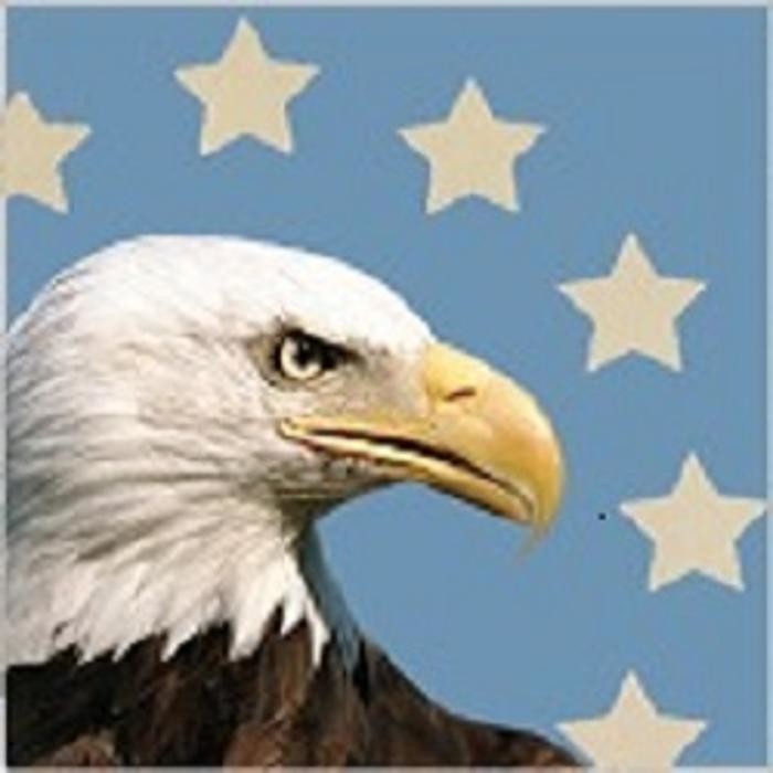 Amflex Packaging Corporation Logo