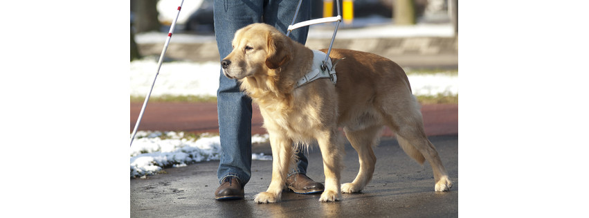 Images Mac's K9
