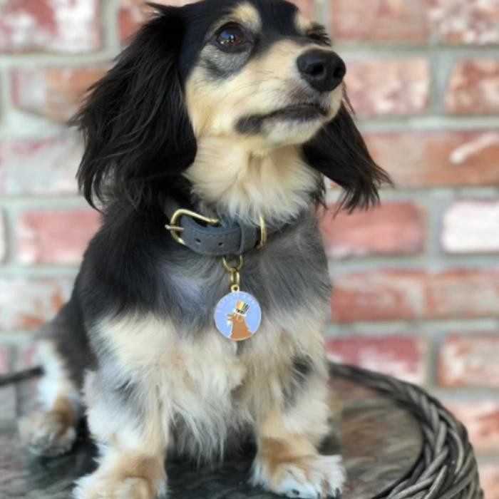 Images Two Tails Pet Company