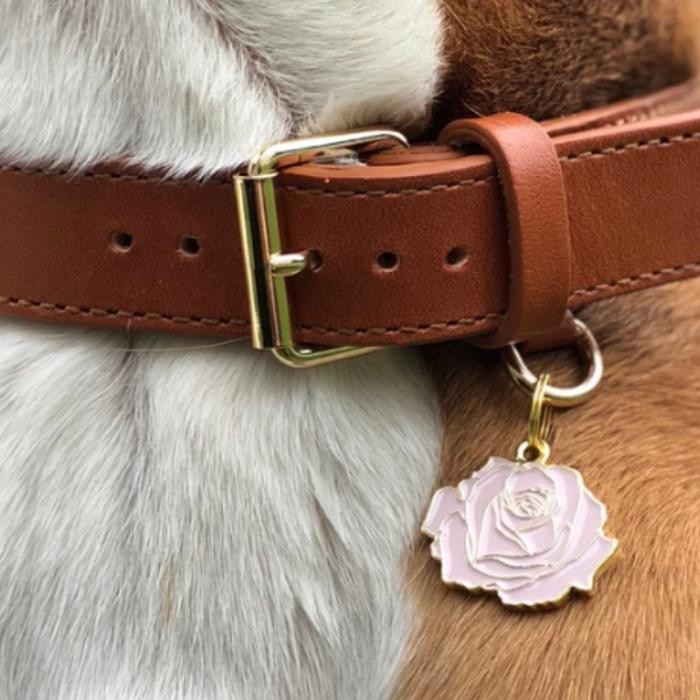 Images Two Tails Pet Company