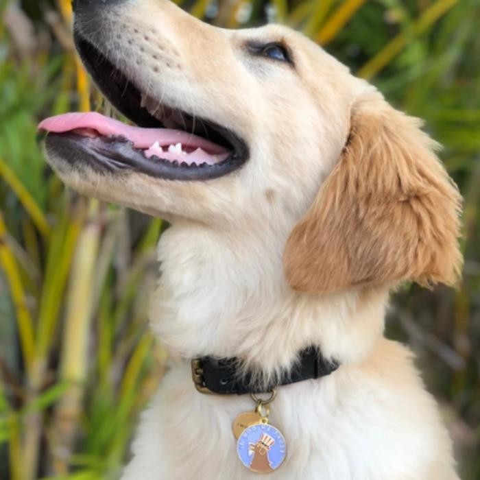 Images Two Tails Pet Company