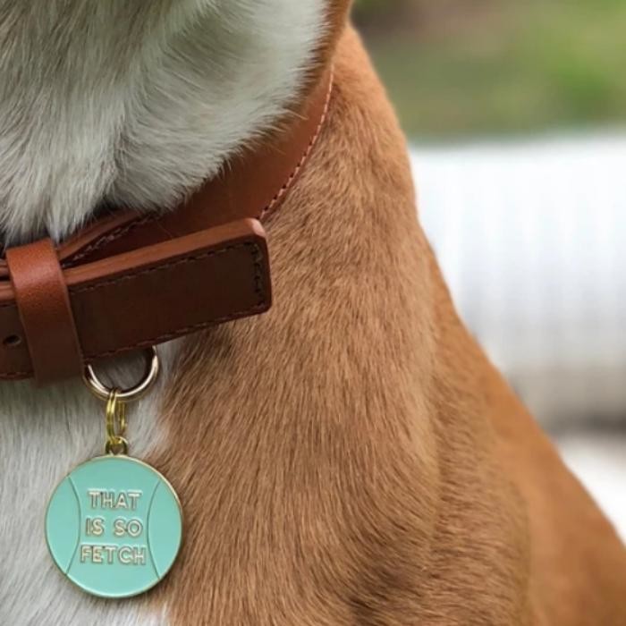 Images Two Tails Pet Company