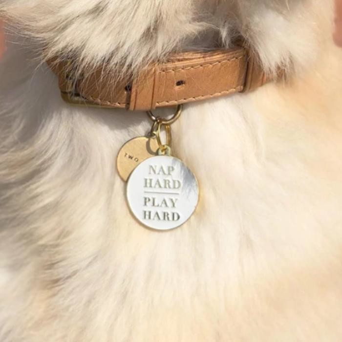 Images Two Tails Pet Company