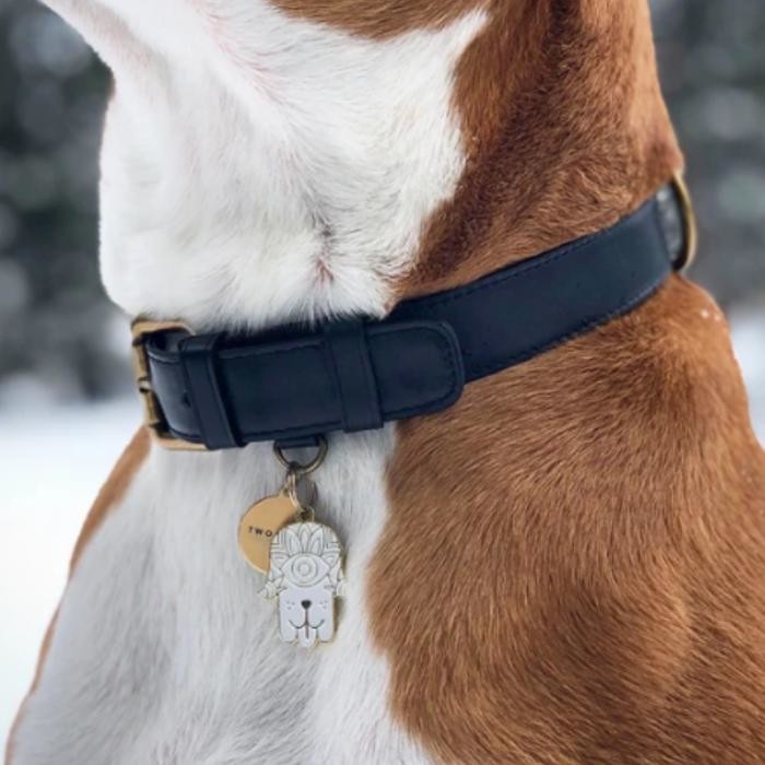 Images Two Tails Pet Company