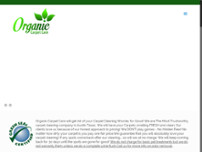 Organic Carpet Care Austin website screenshot