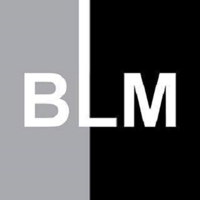 Brickell Luxury Motors Logo
