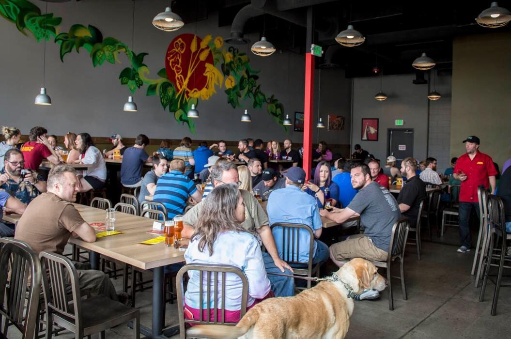 Images Comrade Brewing Company