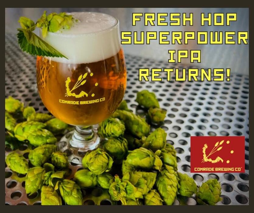 Images Comrade Brewing Company
