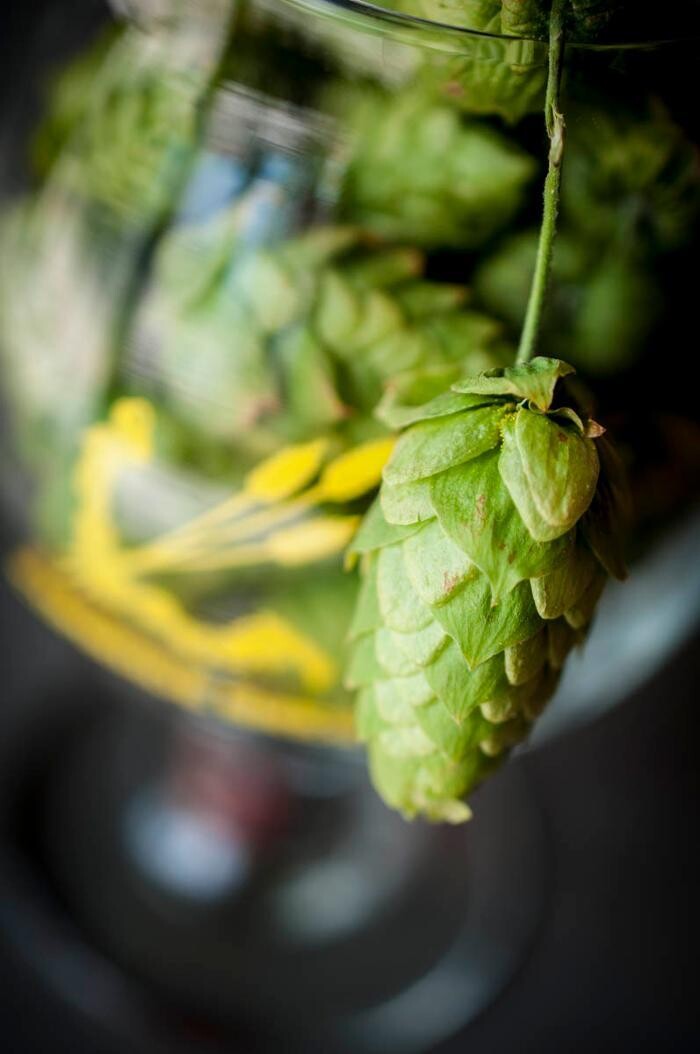 Images Comrade Brewing Company