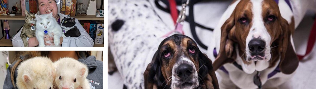 Images Prairie Lane Veterinary Hospital