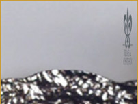 Gary Danko website screenshot