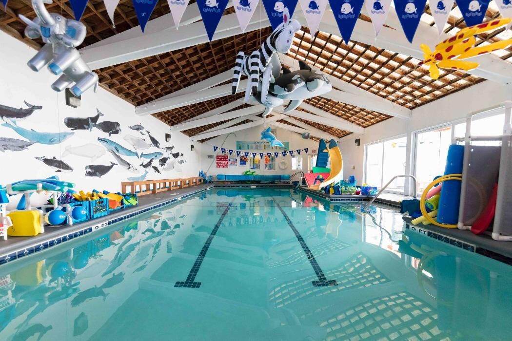 Images La Petite Baleen Swim Schools