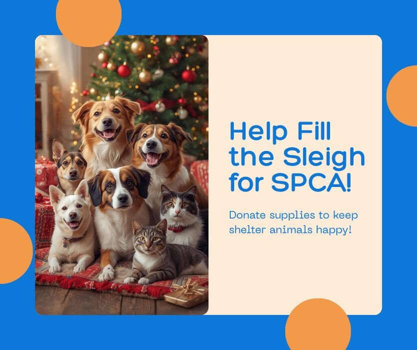 Images Turner Family Dentistry of Virginia