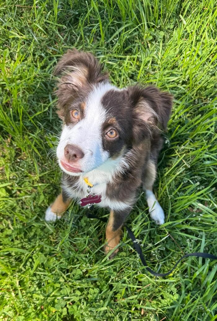 Images Turner Family Dentistry of Virginia