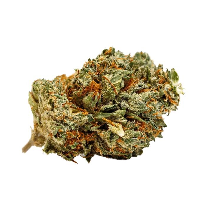 Images Arizona Organix Dispensary