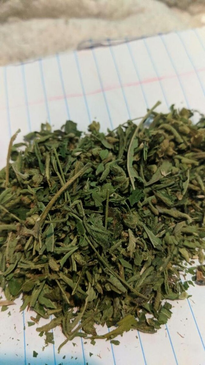 Images Arizona Organix Dispensary