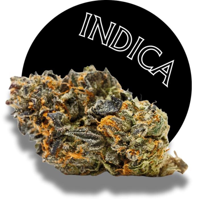 Images Arizona Organix Dispensary