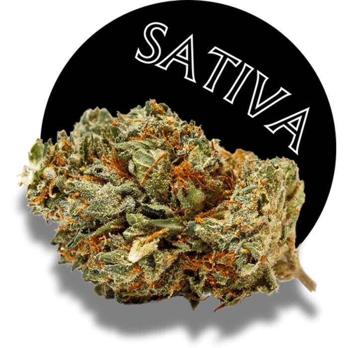 Images Arizona Organix Dispensary