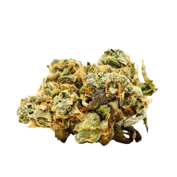 Images Arizona Organix Dispensary