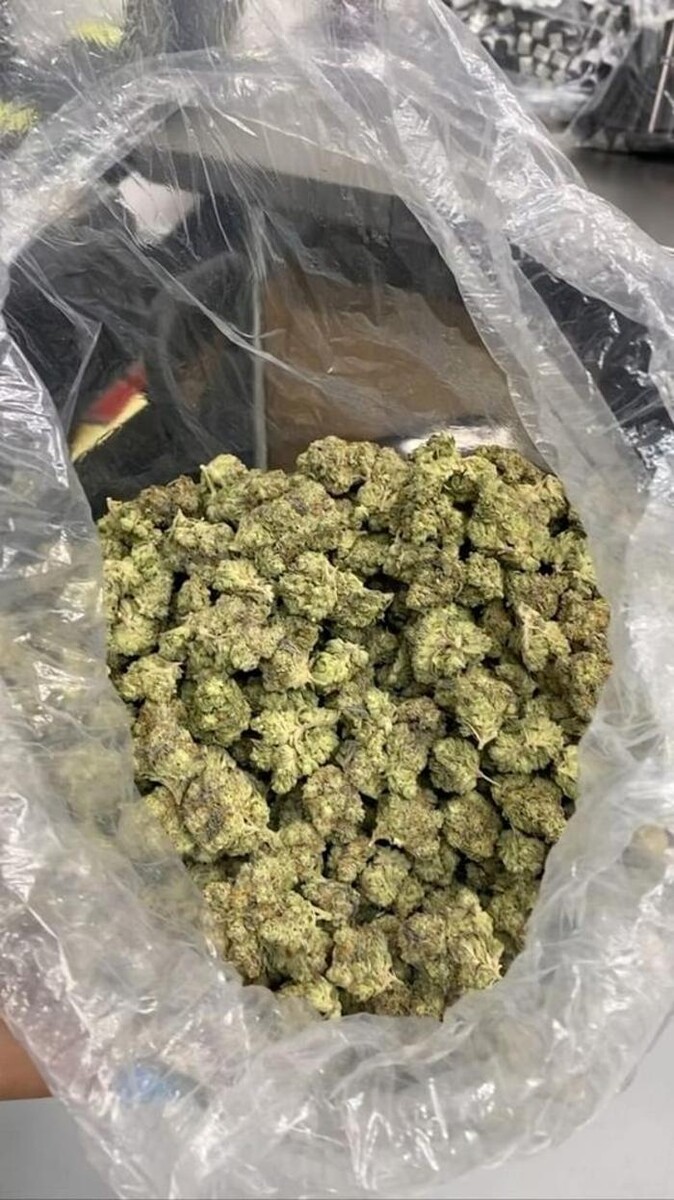 Images Arizona Organix Dispensary